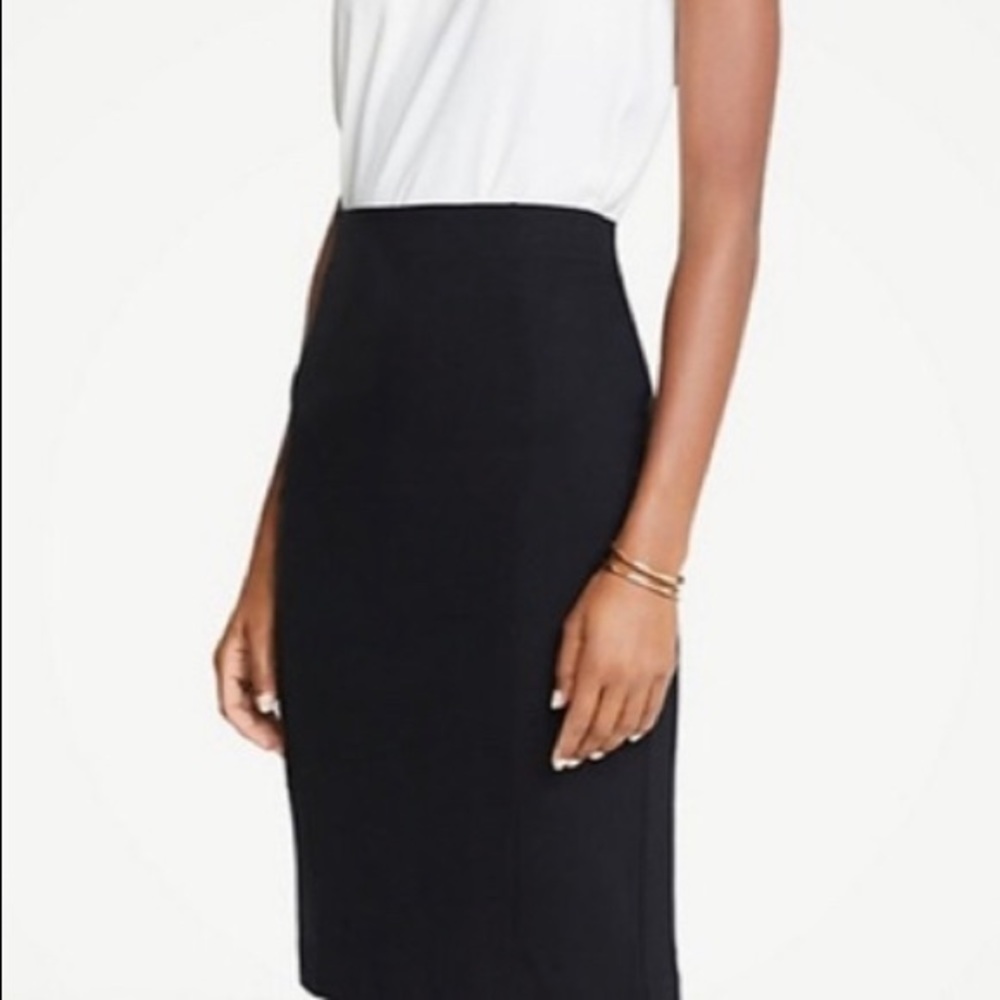 Ann Taylor High Waisted Skirt